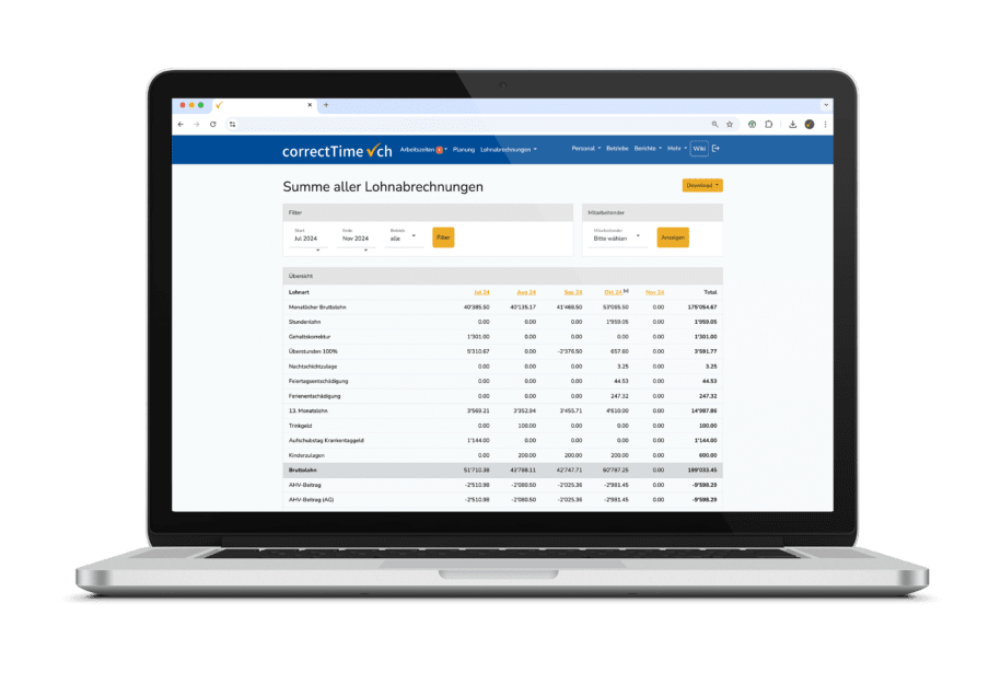 Ansicht Summe der Lohnabrechnungen