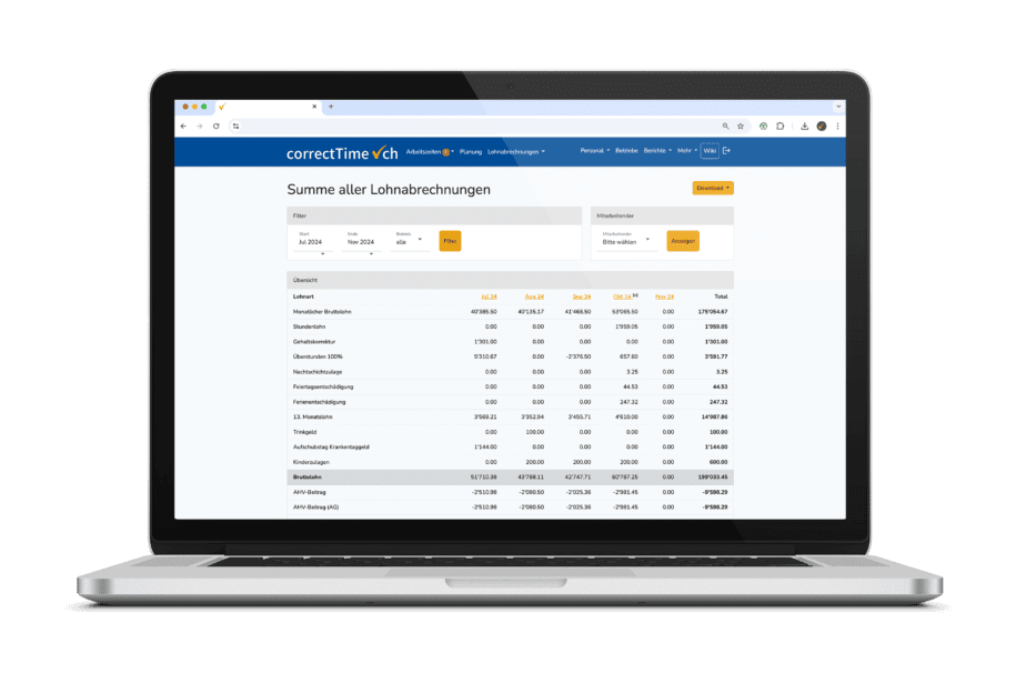 Ansicht Summe der Lohnabrechnungen